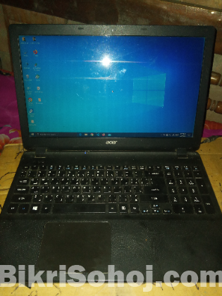 Acer extensa 2519